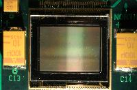 Image of a microchip made by MicroEmissive Displays.