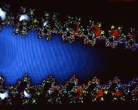 A computer generated fractal image.