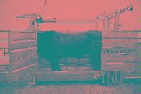 A set of images of a cow in a pen.  Taken February 2003.