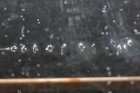 Photographs of a physics experiment entitled "The Singing Bubbles". The experiment was part of a 4th Year project by Mr Diarmuid Lloyd and mostly consisted in an attempt to capture images of a bubble at different stages of formation as it left a very thin glass nozzle.