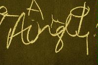 Photographs of a vandalised Peter Higgs mechanism board.