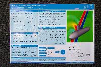 Photos from the 2015 EASC conference in Edinburgh. http://www.easc2015.ed.ac.uk/