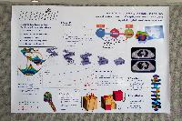 Photos from the 2015 EASC conference in Edinburgh. http://www.easc2015.ed.ac.uk/