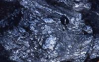 Photographs of geoscience students on an expedition, or field trip, to a rocky beach.  10 images.