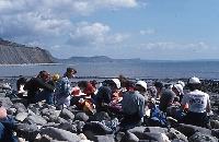 Photographs of geoscience students on an expedition, or field trip, to a rocky beach.  10 images.