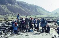 Photographs of geoscience students on an expedition, or field trip, to a rocky beach.  10 images.