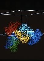Computer generated images of different molecules.  4 images. Possibly proteins.