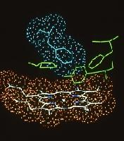 Computer generated images of different molecules.  4 images. Possibly proteins.