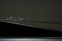 A set of pictures from a fluid dynamics experiment that was carried out in a small water tank in February 2007.  32 items.