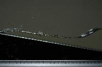 A set of pictures from a fluid dynamics experiment that was carried out in a small water tank in February 2007.  32 items.