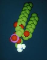 A set of computer generated images of molecules.  7 images.
