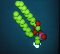 A set of computer generated images of molecules.  7 images.