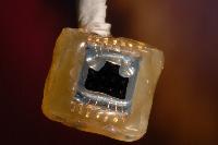 Photographs of a microscopic drug delivery chip made by Stewart Smith as part of an industrial project in 2003.  Reference: http://www.see.ed.ac.uk/news/Archive/news061.html / http://www.see.ed.ac.uk/research/IMNS/projects/MEMS/DD/DD.html / http://news.bbc.co.uk/1/hi/scotland/edinburgh_and_east/7256679.stm.  7 images.