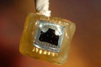 Photographs of a microscopic drug delivery chip made by Stewart Smith as part of an industrial project in 2003.  Reference: http://www.see.ed.ac.uk/news/Archive/news061.html / http://www.see.ed.ac.uk/research/IMNS/projects/MEMS/DD/DD.html / http://news.bbc.co.uk/1/hi/scotland/edinburgh_and_east/7256679.stm.  7 images.