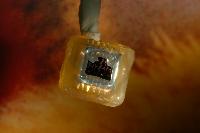 Photographs of a microscopic drug delivery chip made by Stewart Smith as part of an industrial project in 2003.  Reference: http://www.see.ed.ac.uk/news/Archive/news061.html / http://www.see.ed.ac.uk/research/IMNS/projects/MEMS/DD/DD.html / http://news.bbc.co.uk/1/hi/scotland/edinburgh_and_east/7256679.stm.  7 images.