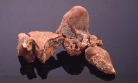 Photographs of rocks used in an experiment by a PhD student, Yiannis, looking into dating pyramids.