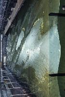 A photograph of some experiments with a device which generates electrical energy from wave kinetic energy.  8 images.