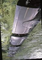 A photograph of some experiments with a device which generates electrical energy from wave kinetic energy.  8 images.