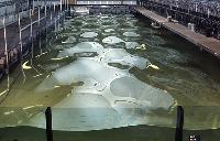 A photograph of some experiments with a device which generates electrical energy from wave kinetic energy.  8 images.