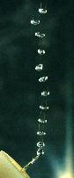 A set of photographs of bubbles of gas rising through a tube into a water tank.  Likely from the Senior Honours project of physics student Matthew Tupling.  Taken on 29th October 2007.