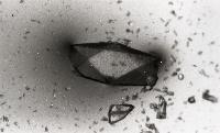 Microscopical images of crystal like structures