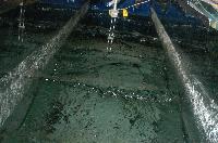 A set of photographs of a wave tank experiment. Likely from the Senior Honours project of physics student Matthew Tupling. Taken on 8th March 2008.