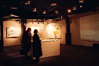 A set of images of Peter Tuffy's "Coast - A Visual Exploration" display at Sensations in Dundee.
