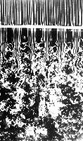 A collection of photographs from some fluid dynamics experiments, possibly belonging to Dr Francis Barnes. (Swirls, vortex, vortices)