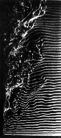 A collection of photographs from some fluid dynamics experiments, possibly belonging to Dr Francis Barnes. (Swirls, vortex, vortices)