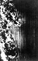 A collection of photographs from some fluid dynamics experiments, possibly belonging to Dr Francis Barnes. (Swirls, vortex, vortices)