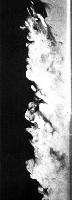 A collection of photographs from some fluid dynamics experiments, possibly belonging to Dr Francis Barnes. (Swirls, vortex, vortices)
