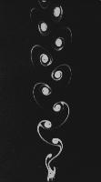 A collection of photographs from some fluid dynamics experiments, possibly belonging to Dr Francis Barnes. (Swirls, vortex, vortices)
