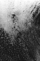A collection of photographs from some fluid dynamics experiments, possibly belonging to Dr Francis Barnes. (Swirls, vortex, vortices)