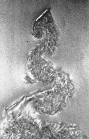 A collection of photographs from some fluid dynamics experiments, possibly belonging to Dr Francis Barnes. (Swirls, vortex, vortices)