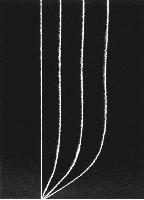A collection of photographs from some fluid dynamics experiments, possibly belonging to Dr Francis Barnes. (Swirls, vortex, vortices)