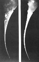 A collection of photographs from some fluid dynamics experiments, possibly belonging to Dr Francis Barnes. (Swirls, vortex, vortices)
