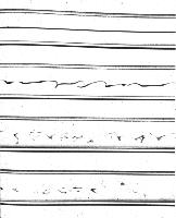 A collection of photographs from some fluid dynamics experiments, possibly belonging to Dr Francis Barnes. (Swirls, vortex, vortices)