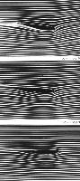 A collection of photographs from some fluid dynamics experiments, possibly belonging to Dr Francis Barnes. (Swirls, vortex, vortices)