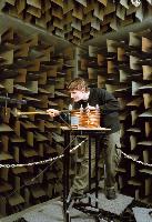 Selection of photographs from student experiments