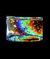 A collection of photographs from the Physics and Astronomy brochure, possibly around 2002.