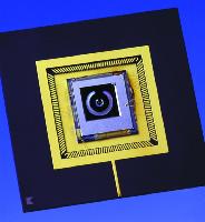 A collection of photographs from the Physics and Astronomy brochure, possibly around 2002.