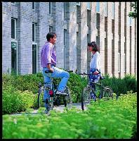 A collection of photographs from the Physics and Astronomy brochure, possibly around 2002.